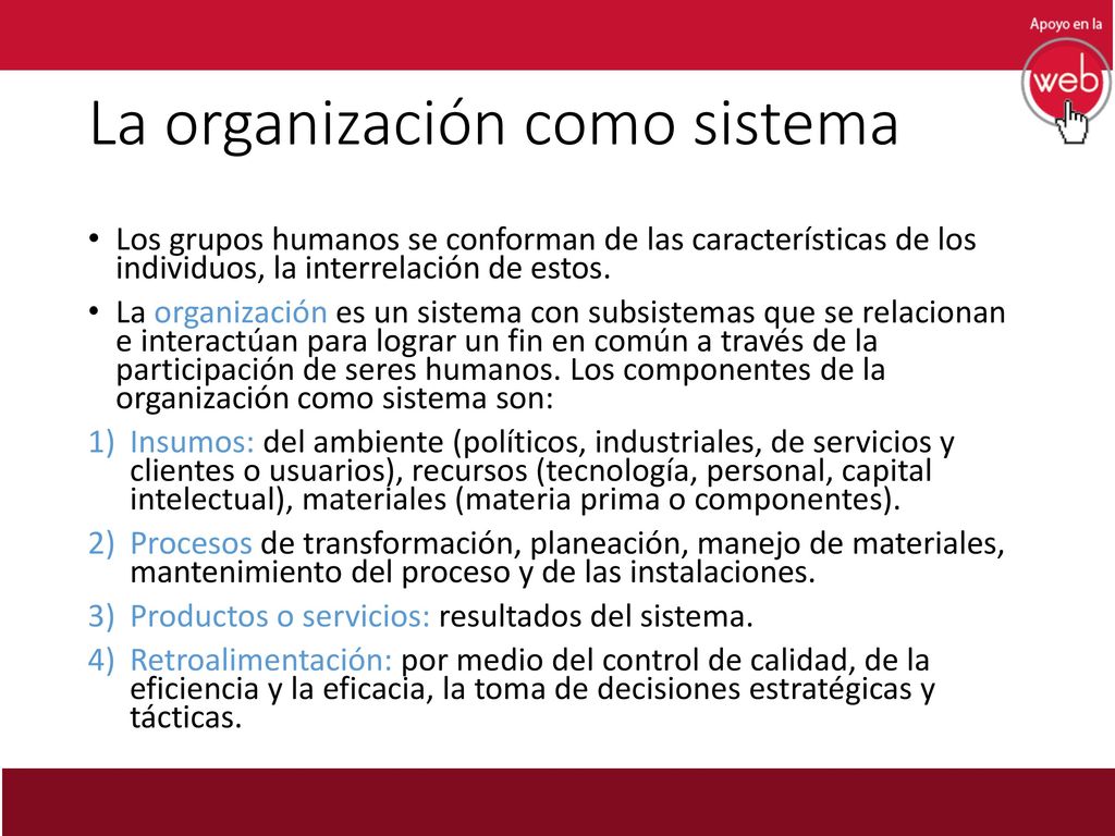 La organización como sistema