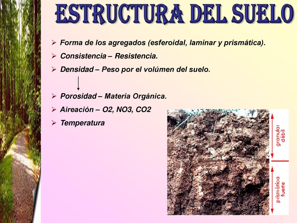 estructura del suelo Forma de los agregados (esferoidal, laminar y prismática). Consistencia – Resistencia.