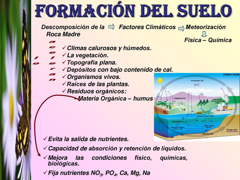Formación del suelo lo aceleran Descomposición de la Roca Madre