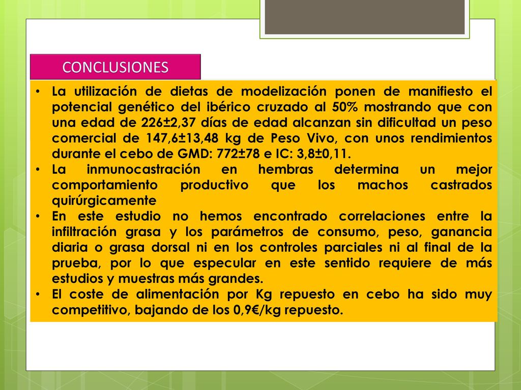 La utilización de dietas de modelización ponen de manifiesto el potencial genético del ibérico cruzado al 50% mostrando que con una edad de 226±2,37 días de edad alcanzan sin dificultad un peso comercial de 147,6±13,48 kg de Peso Vivo, con unos rendimientos durante el cebo de GMD: 772±78 e IC: 3,8±0,11.