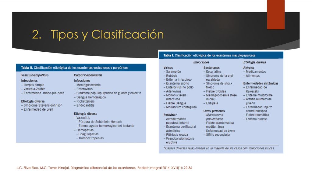 Tipos y Clasificación J.C. Silva Rico, M.C. Torres Hinojal.