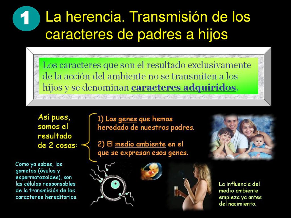 1 La herencia. Transmisión de los caracteres de padres a hijos