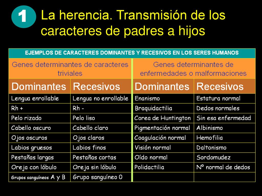 1 La herencia. Transmisión de los caracteres de padres a hijos
