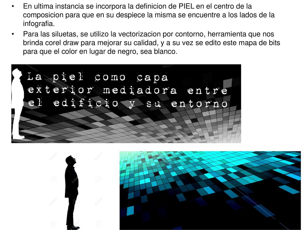 En ultima instancia se incorpora la definicion de PIEL en el centro de la composicion para que en su despiece la misma se encuentre a los lados de la infografia.