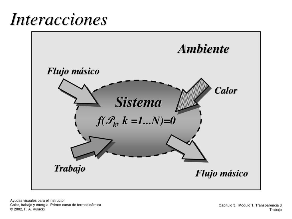 Interacciones Sistema Ambiente Ma f(Pk, k =1...N)=0 Flujo másico Calor