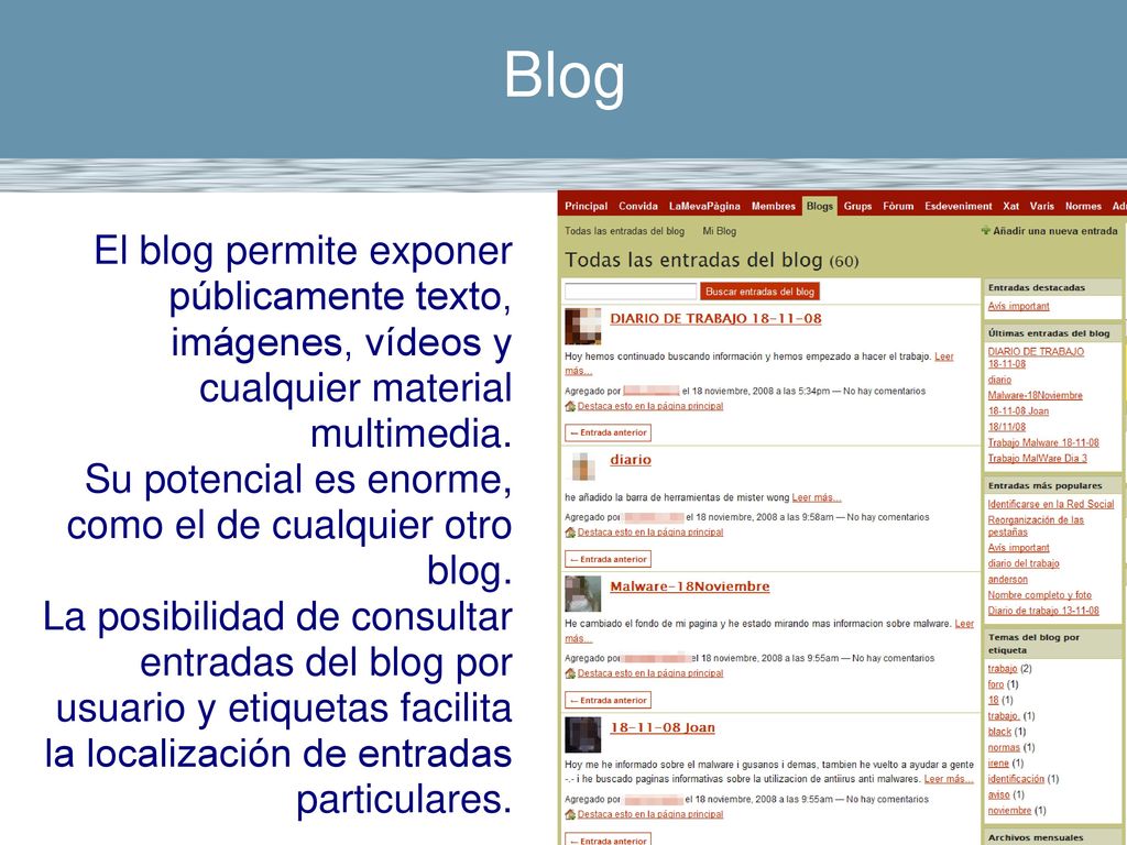 Blog El blog permite exponer públicamente texto, imágenes, vídeos y cualquier material multimedia.
