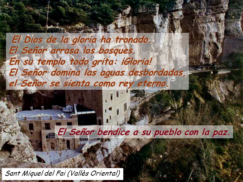 El Dios de la gloria ha tronado. El Señor arrasa los bosques