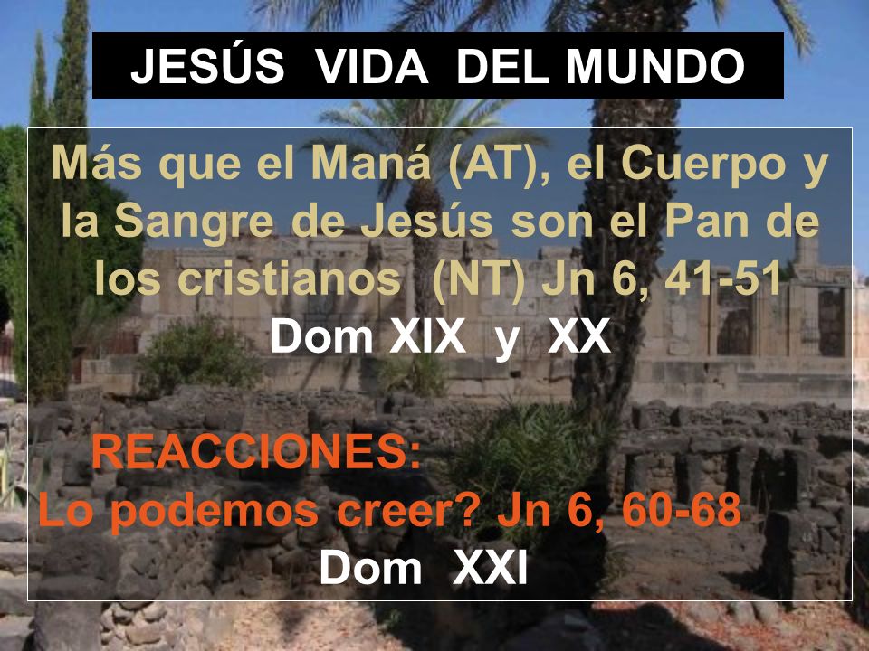 JESÚS VIDA DEL MUNDO Más que el Maná (AT), el Cuerpo y la Sangre de Jesús son el Pan de los cristianos (NT) Jn 6, Dom XIX y XX.