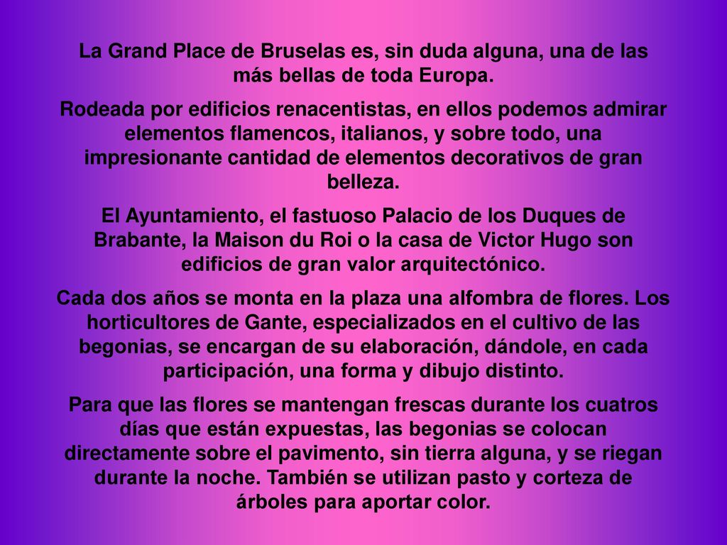 La Grand Place de Bruselas es, sin duda alguna, una de las más bellas de toda Europa.