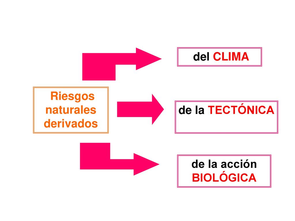 del CLIMA Riesgos naturales derivados de la TECTÓNICA de la acción BIOLÓGICA