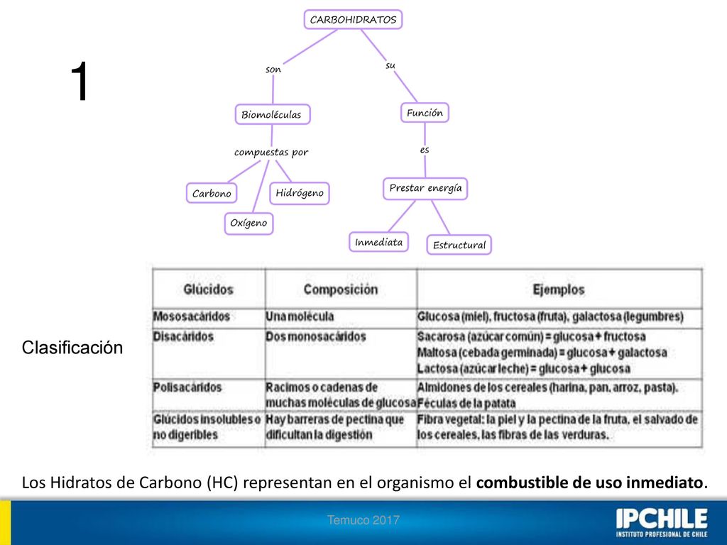 1 Clasificación. Los Hidratos de Carbono (HC) representan en el organismo el combustible de uso inmediato.