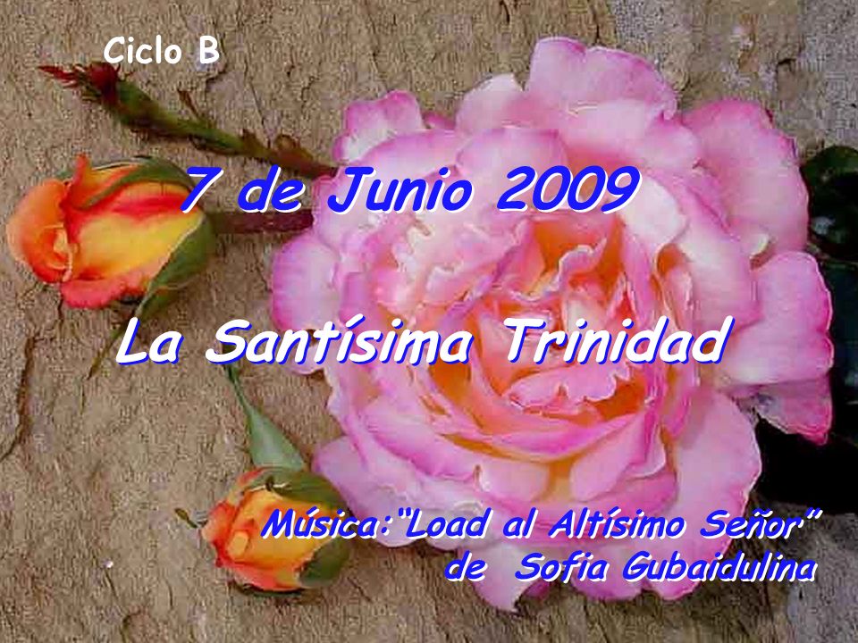 7 de Junio 2009 La Santísima Trinidad