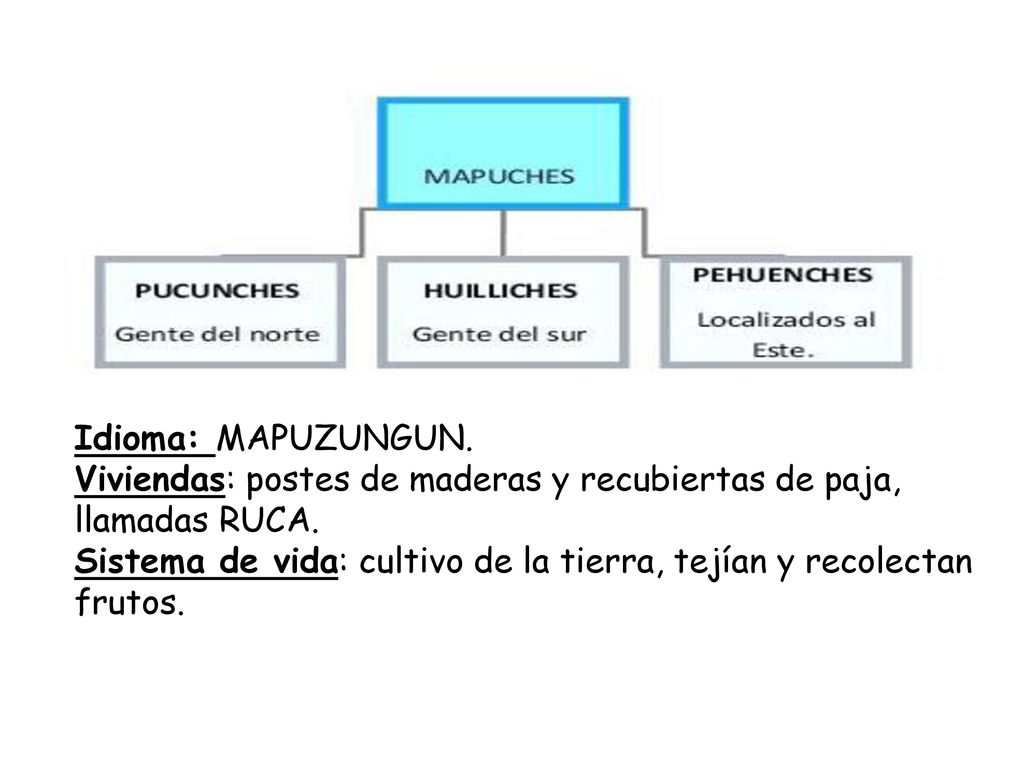 Idioma: MAPUZUNGUN. Viviendas: postes de maderas y recubiertas de paja, llamadas RUCA.