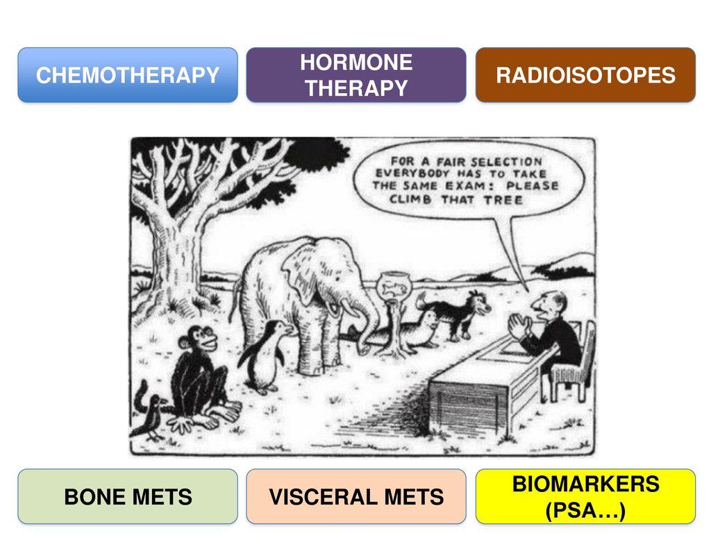 CHEMOTHERAPY HORMONE THERAPY RADIOISOTOPES BONE METS VISCERAL METS BIOMARKERS (PSA…)