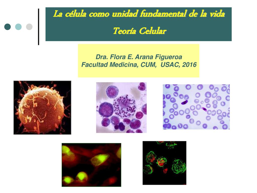 La célula como unidad fundamental de la vida Teoría Celular