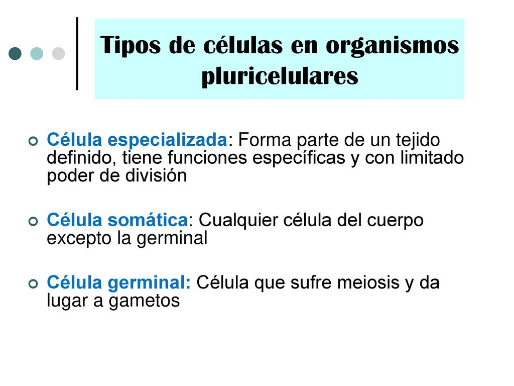 Tipos de células en organismos pluricelulares