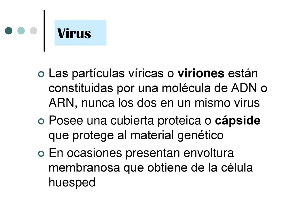 Virus Las partículas víricas o viriones están constituidas por una molécula de ADN o ARN, nunca los dos en un mismo virus.