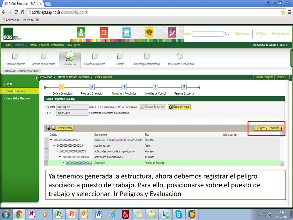 Ya tenemos generada la estructura, ahora debemos registrar el peligro asociado a puesto de trabajo.