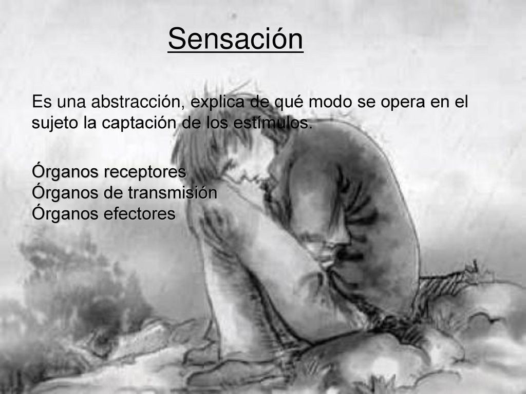 Sensación Es una abstracción, explica de qué modo se opera en el sujeto la captación de los estímulos.