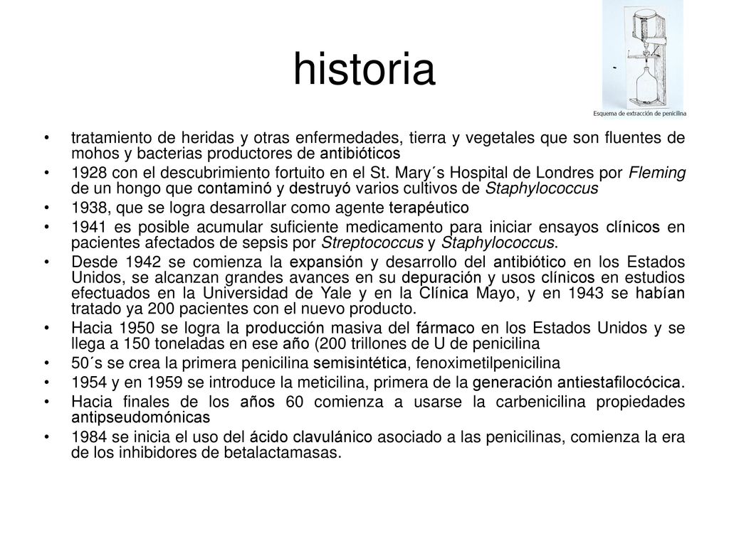 historia tratamiento de heridas y otras enfermedades, tierra y vegetales que son fluentes de mohos y bacterias productores de antibióticos.
