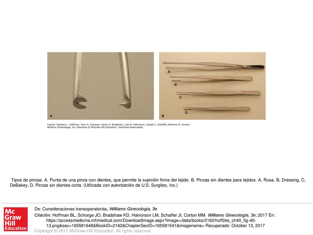 Tipos de pinzas. A. Punta de una pinza con dientes, que permite la sujeción firme del tejido. B. Pinzas sin dientes para tejidos. A, Rusa. B, Dressing. C, DeBakey, D, Pinzas sin dientes corta. (Utilizada con autorización de U.S. Surgitec, Inc.)