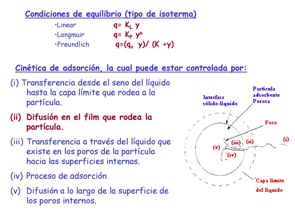 Condiciones de equilibrio (tipo de isoterma)