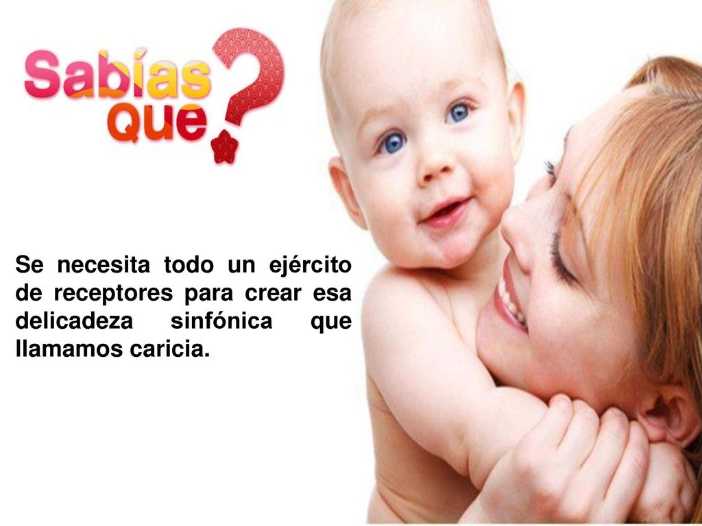 Se necesita todo un ejército de receptores para crear esa delicadeza sinfónica que llamamos caricia.