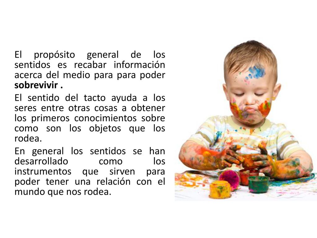 El propósito general de los sentidos es recabar información acerca del medio para para poder sobrevivir .