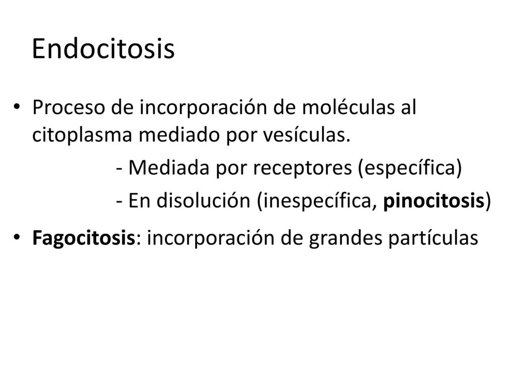 Endocitosis Proceso de incorporación de moléculas al citoplasma mediado por vesículas. - Mediada por receptores (específica)