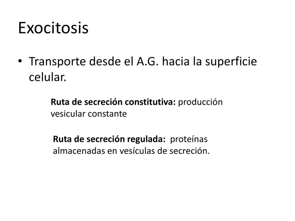 Exocitosis Transporte desde el A.G. hacia la superficie celular.