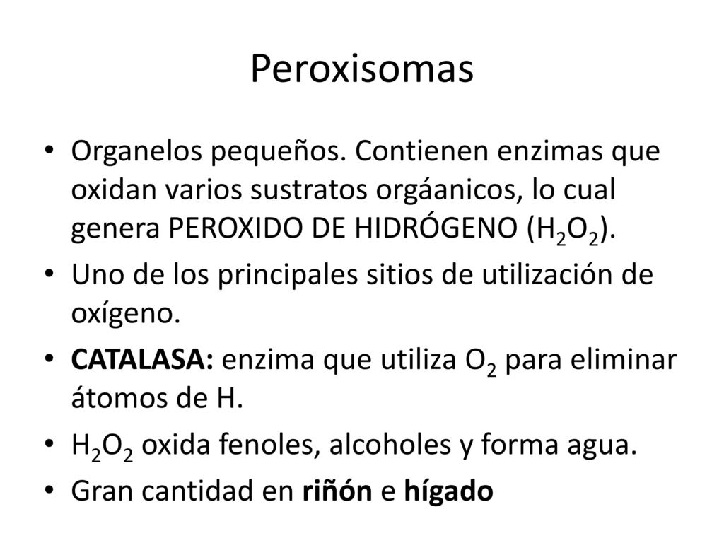 Peroxisomas Organelos pequeños. Contienen enzimas que oxidan varios sustratos orgáanicos, lo cual genera PEROXIDO DE HIDRÓGENO (H2O2).