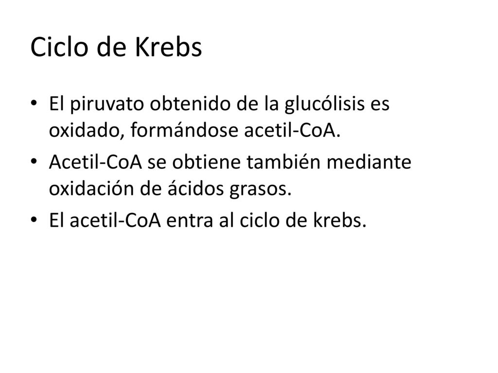 Ciclo de Krebs El piruvato obtenido de la glucólisis es oxidado, formándose acetil-CoA.