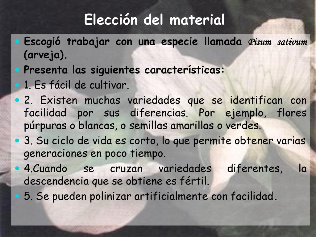 Elección del material Escogió trabajar con una especie llamada Pisum sativum (arveja). Presenta las siguientes características:
