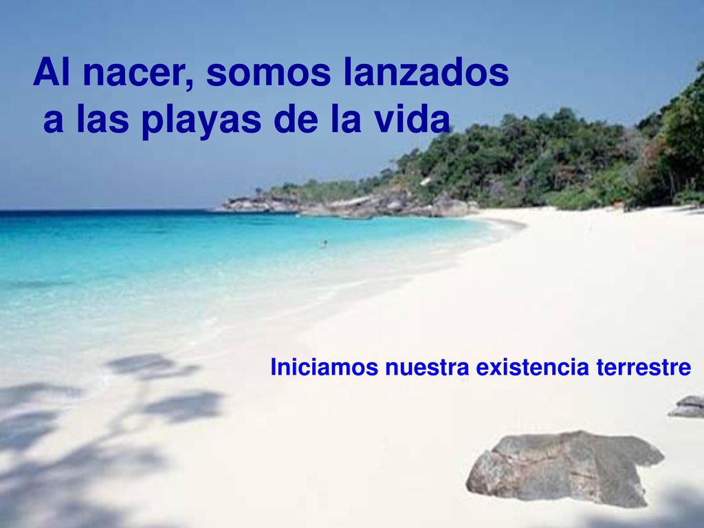 Al nacer, somos lanzados a las playas de la vida