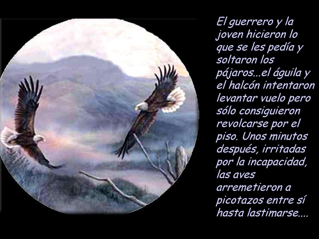 El guerrero y la joven hicieron lo que se les pedía y soltaron los pájaros...el águila y el halcón intentaron levantar vuelo pero sólo consiguieron revolcarse por el piso.