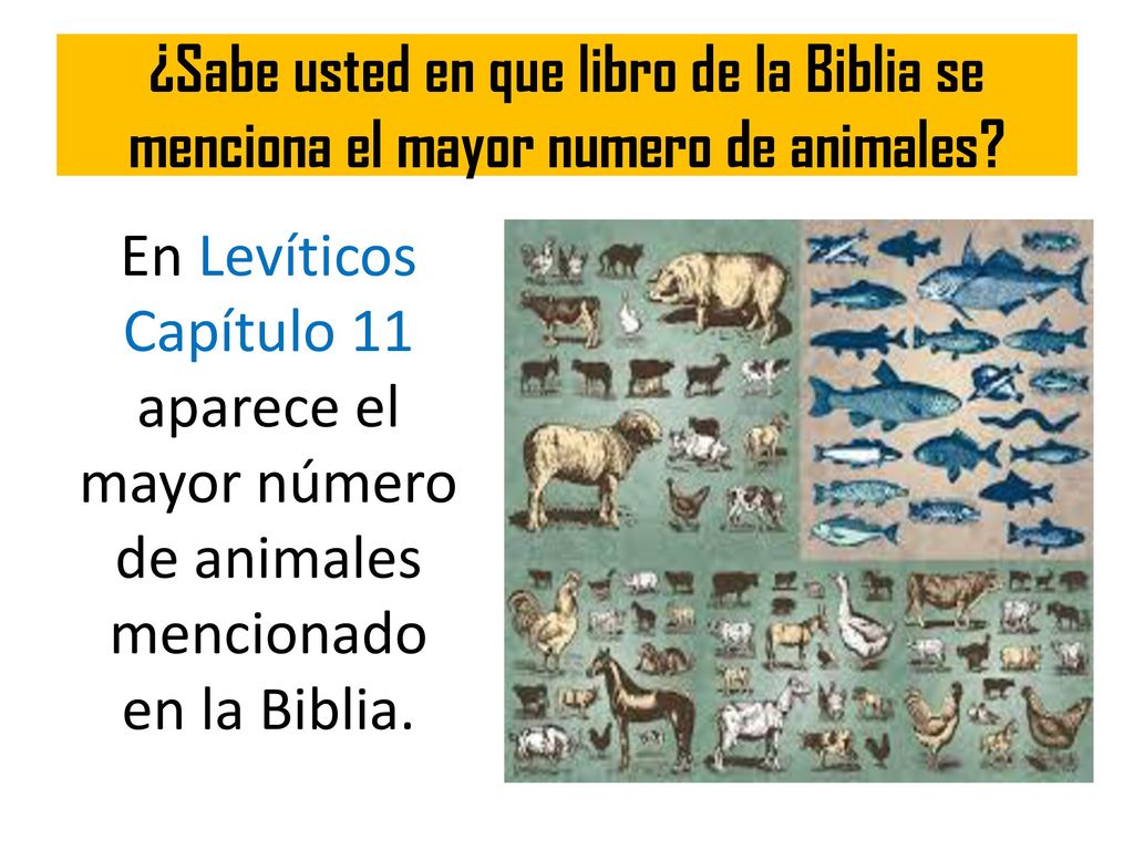 ¿Sabe usted en que libro de la Biblia se menciona el mayor numero de animales