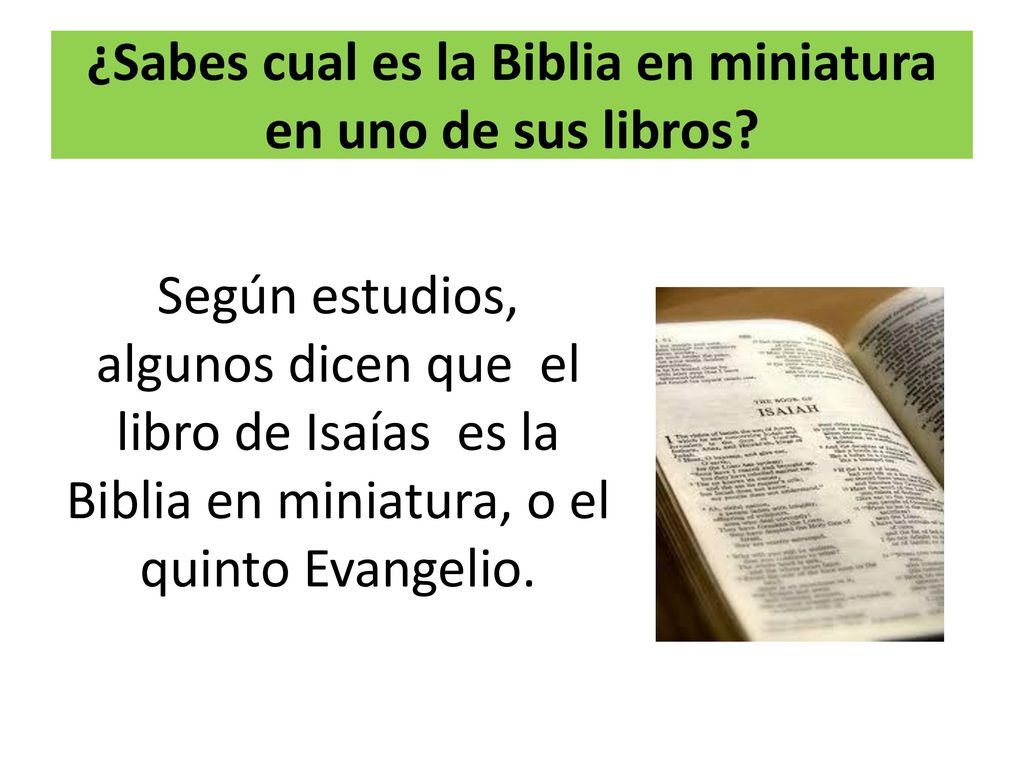 ¿Sabes cual es la Biblia en miniatura en uno de sus libros