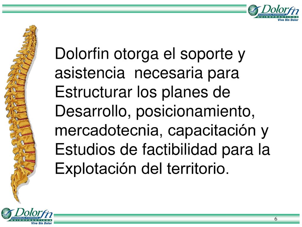 Dolorfin otorga el soporte y asistencia necesaria para Estructurar los planes de Desarrollo, posicionamiento, mercadotecnia, capacitación y Estudios de factibilidad para la