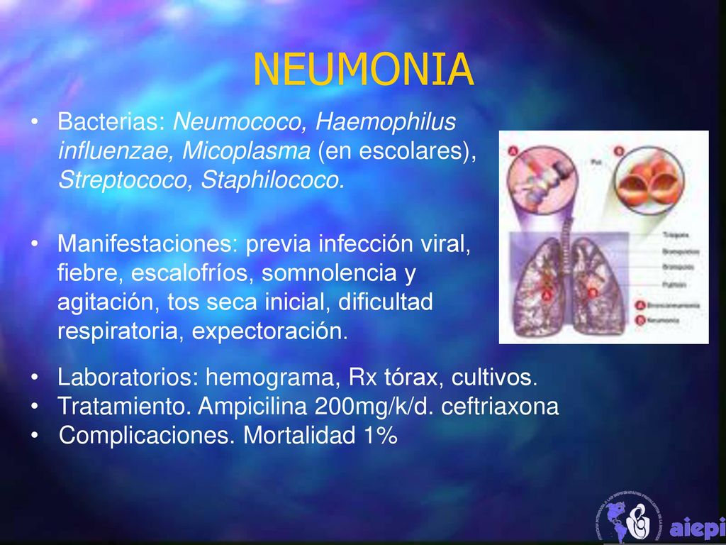 NEUMONIA Bacterias: Neumococo, Haemophilus influenzae, Micoplasma (en escolares), Streptococo, Staphilococo.