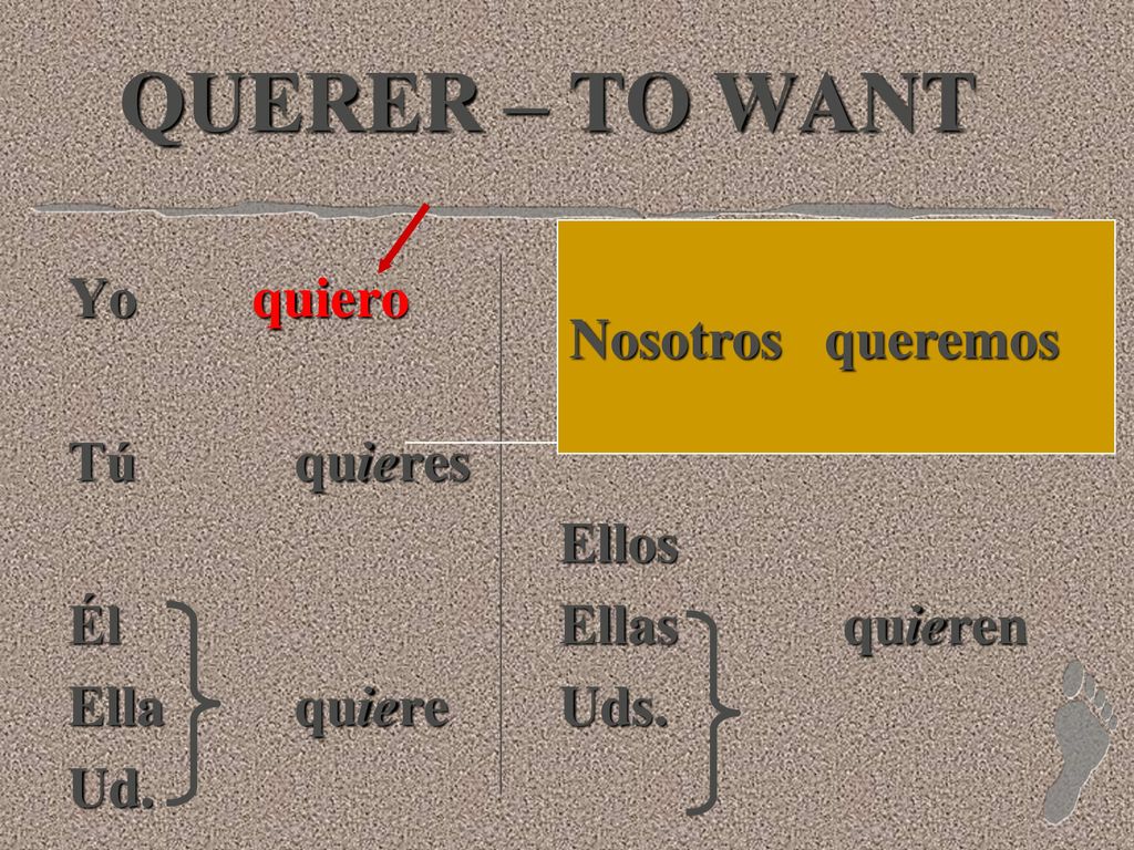 QUERER – TO WANT Nosotros queremos Yo quiero Tú quieres Él Ella quiere