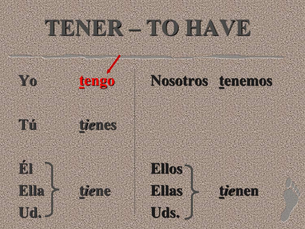TENER – TO HAVE Yo tengo Tú tienes Él Ella tiene Ud. Nosotros tenemos