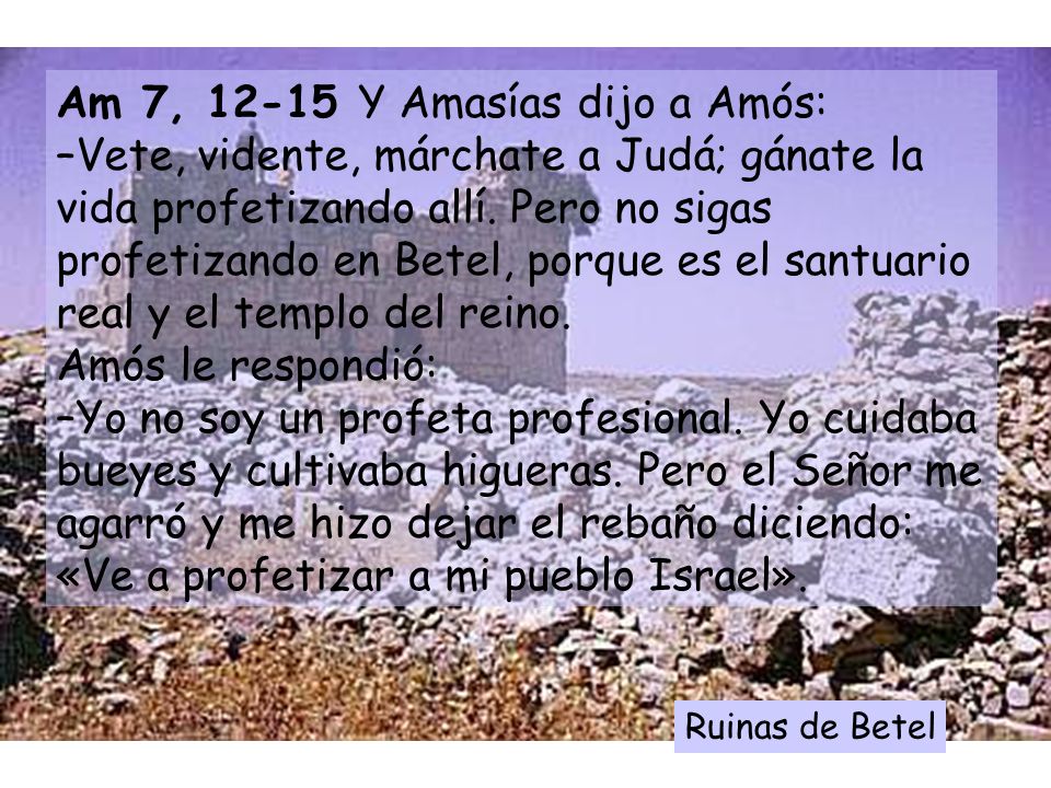 Am 7, Y Amasías dijo a Amós: –Vete, vidente, márchate a Judá; gánate la vida profetizando allí. Pero no sigas profetizando en Betel, porque es el santuario real y el templo del reino. Amós le respondió: –Yo no soy un profeta profesional. Yo cuidaba bueyes y cultivaba higueras. Pero el Señor me agarró y me hizo dejar el rebaño diciendo: «Ve a profetizar a mi pueblo Israel».