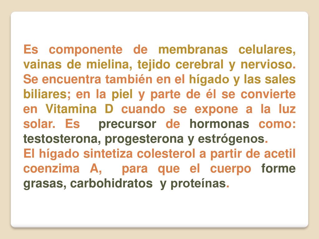 Es componente de membranas celulares, vainas de mielina, tejido cerebral y nervioso. Se encuentra también en el hígado y las sales biliares; en la piel y parte de él se convierte en Vitamina D cuando se expone a la luz solar. Es precursor de hormonas como: testosterona, progesterona y estrógenos.