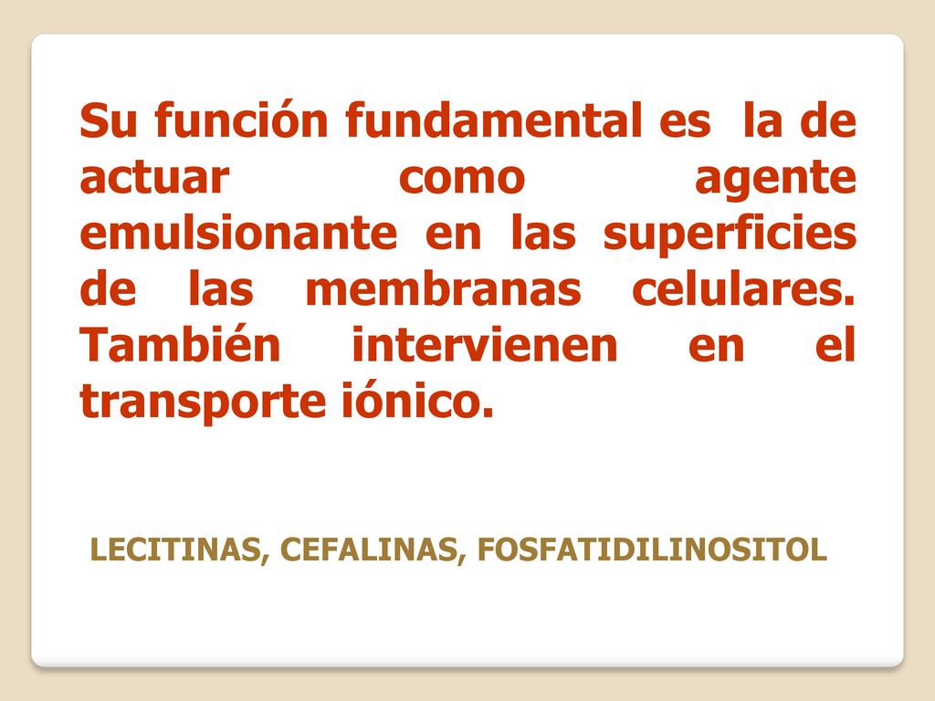 Su función fundamental es la de actuar como agente emulsionante en las superficies de las membranas celulares. También intervienen en el transporte iónico.