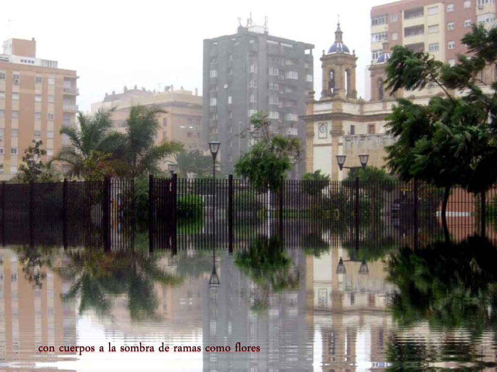 con cuerpos a la sombra de ramas como flores