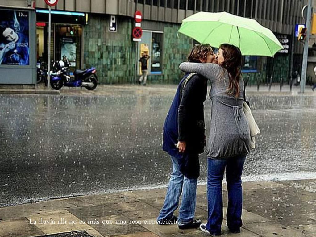 La lluvia allí no es más que una rosa entreabierta;