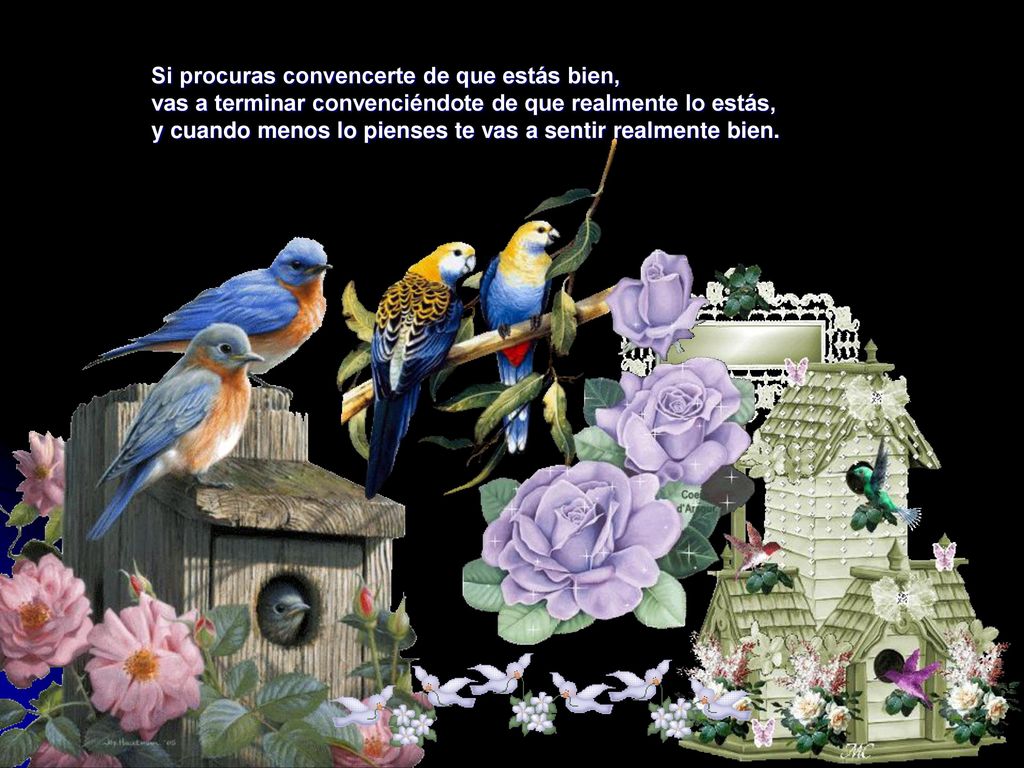 Si procuras convencerte de que estás bien, vas a terminar convenciéndote de que realmente lo estás, y cuando menos lo pienses te vas a sentir realmente bien.