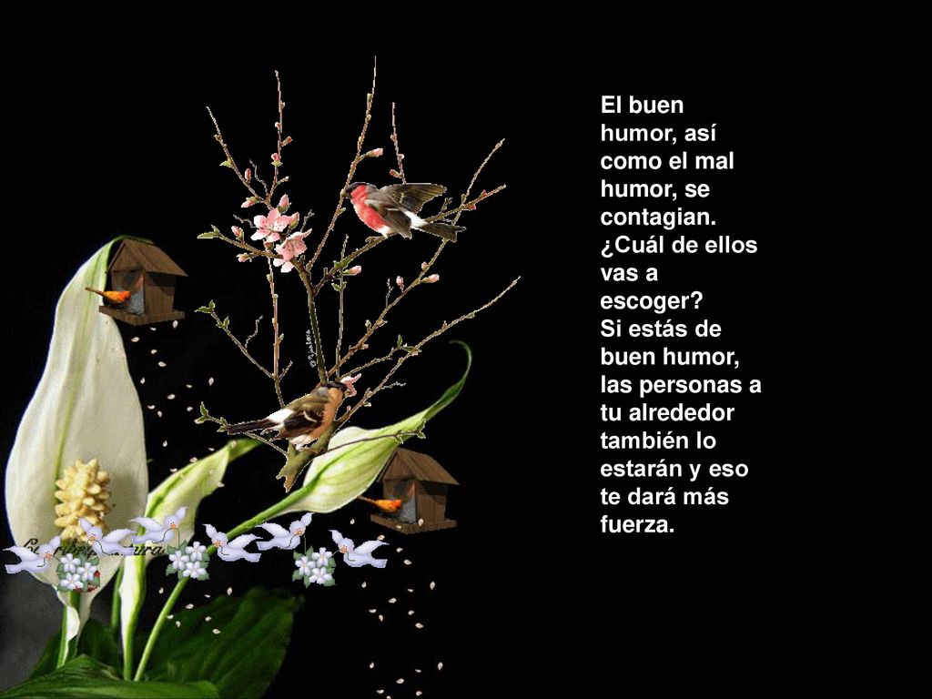El buen humor, así como el mal humor, se contagian