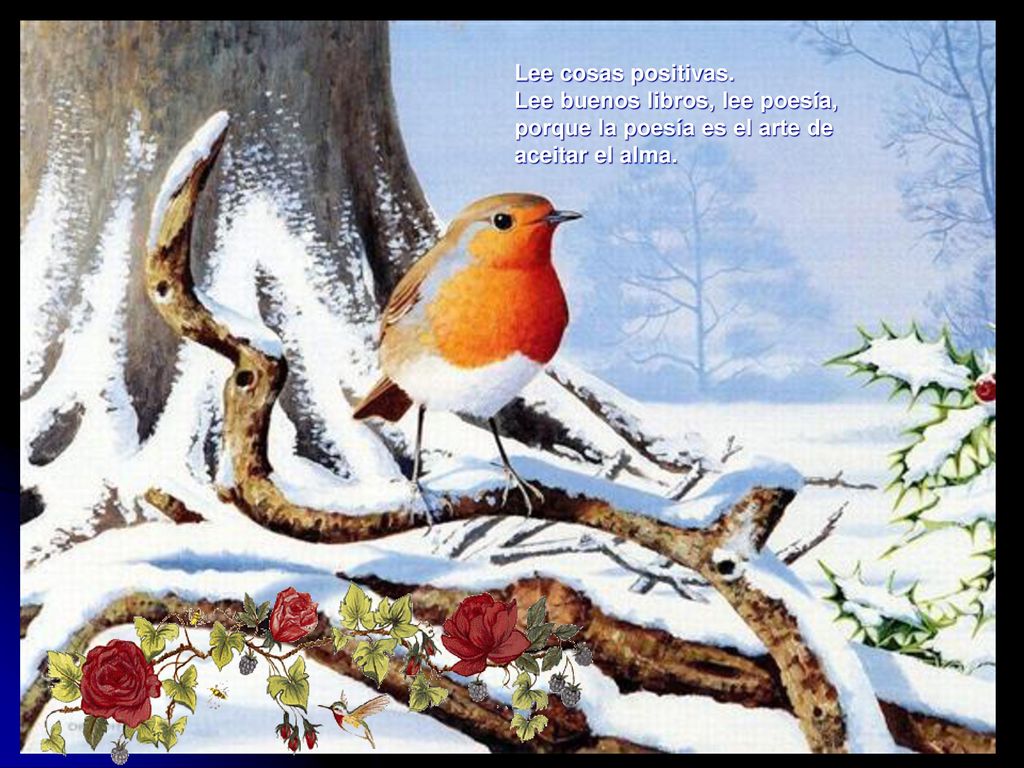 Lee cosas positivas. Lee buenos libros, lee poesía, porque la poesía es el arte de aceitar el alma.