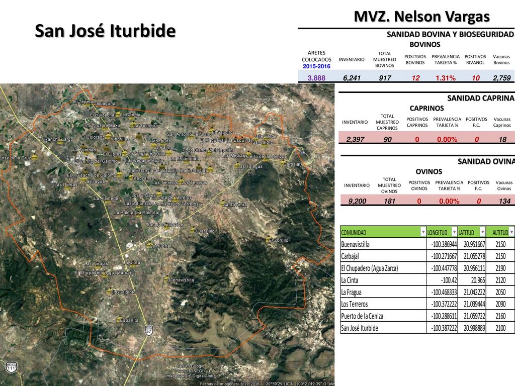 San José Iturbide MVZ. Nelson Vargas SANIDAD BOVINA Y BIOSEGURIDAD